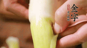 茭白剝?nèi)ネ鈿?，先切片再切絲。