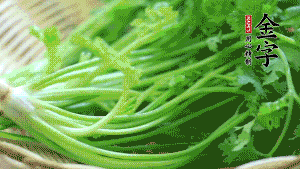 挑選鮮嫩的香菜，洗干凈后，處理成小段。