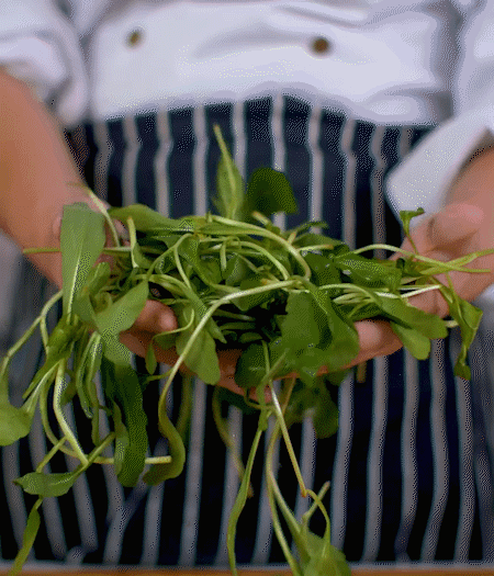 馬蘭頭焯水，切成細末。